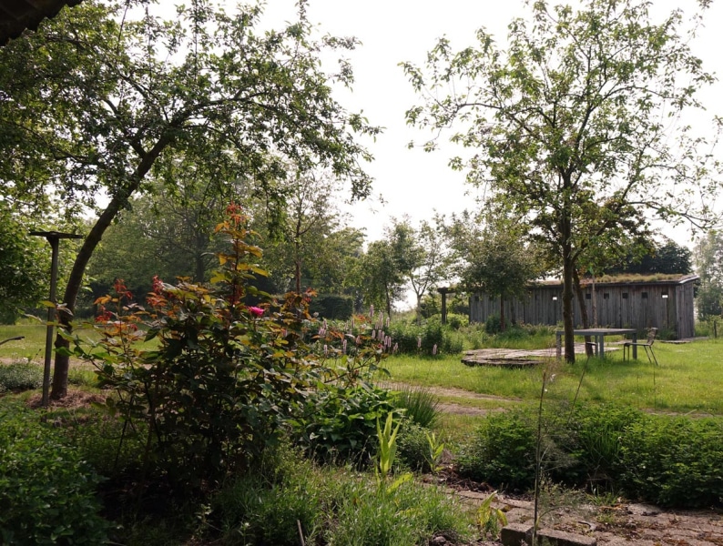 groene weide