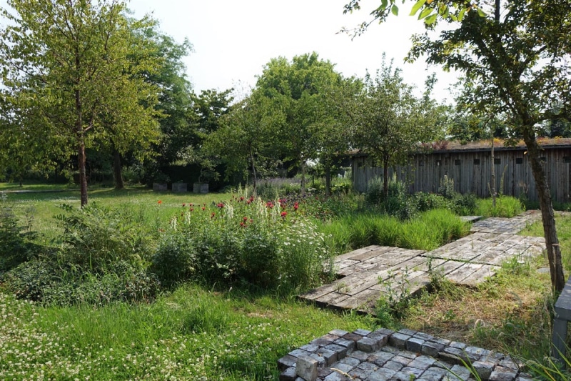 groene weide