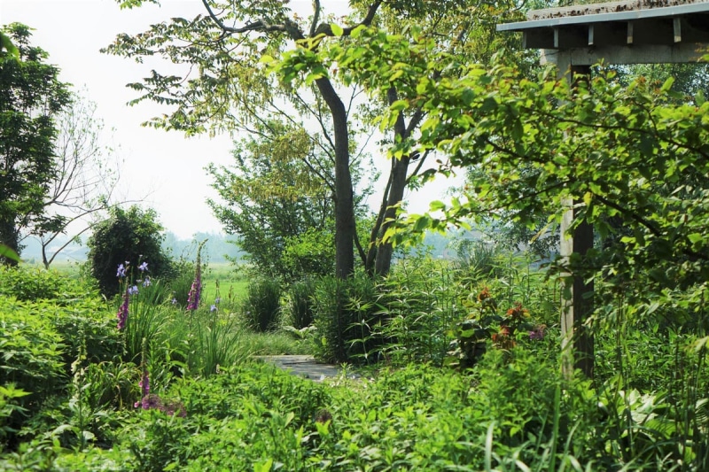 groene weide