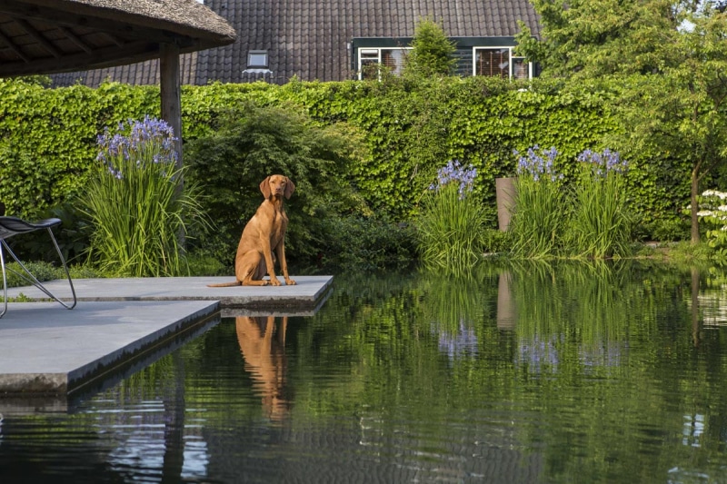 Het dorp