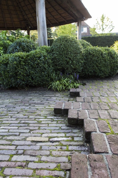 Het dorp