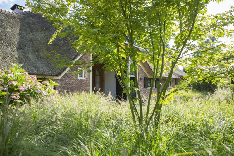 Het dorp