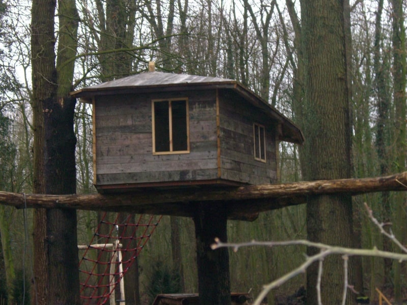 in de bomen 7