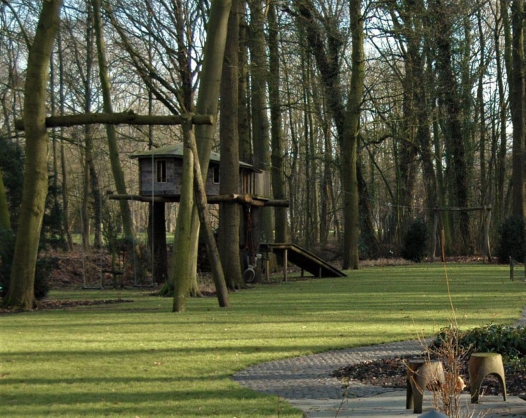 in de bomen 1