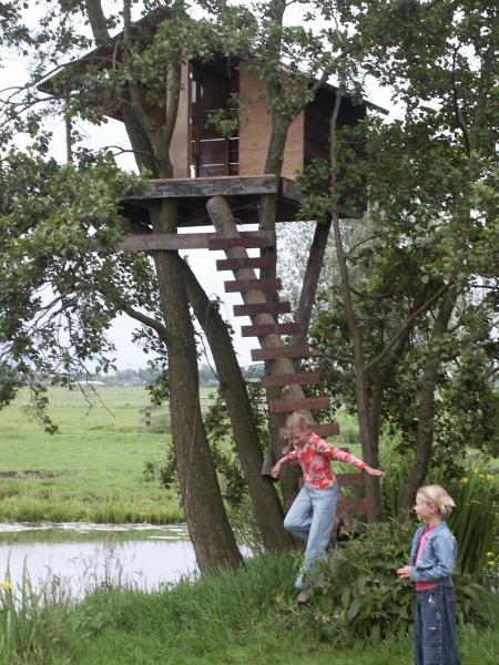 in de bomen 2
