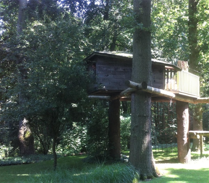 in de bomen 8
