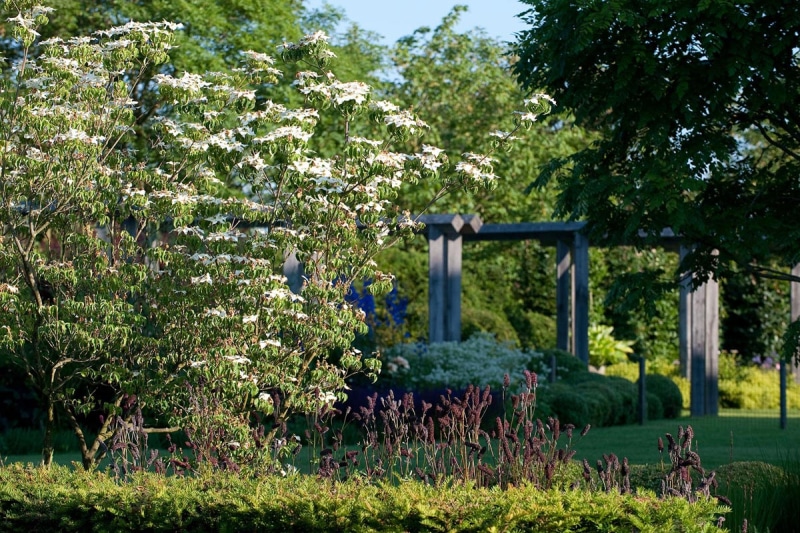 Luc-Engelhard-Woerden-Tuinarchitect-2