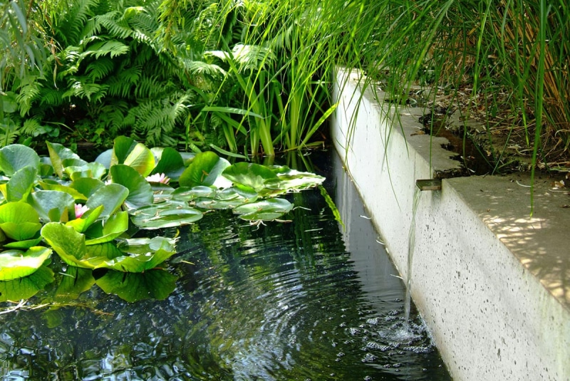 Luc-Engelhard-Tuinarchitect-Den-Haag-3