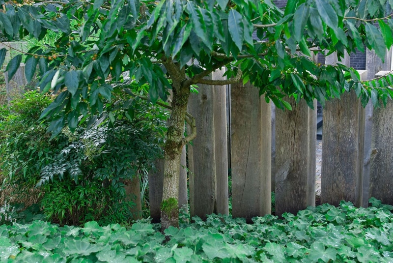 Luc-Engelhard-buitenhuis-tuindesign-2
