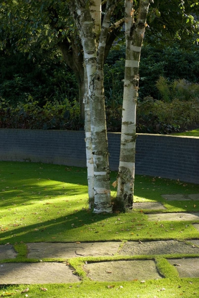 Luc-Engelhard-buitenhuis-tuindesign-9