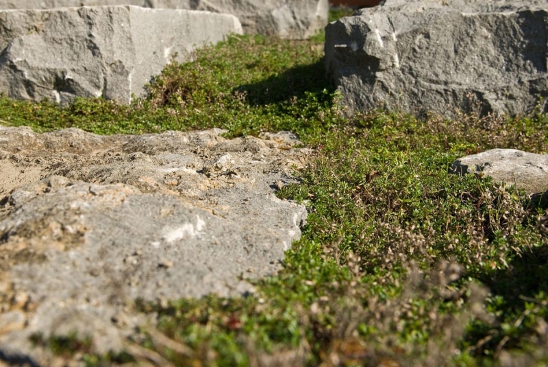 1_Luc-Engelhard-Tuindesign-Woerden-2