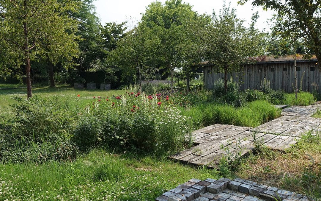 green meadow