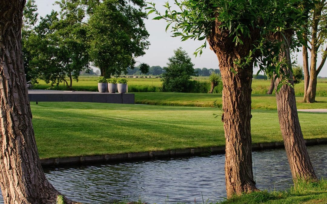 hollandse polder