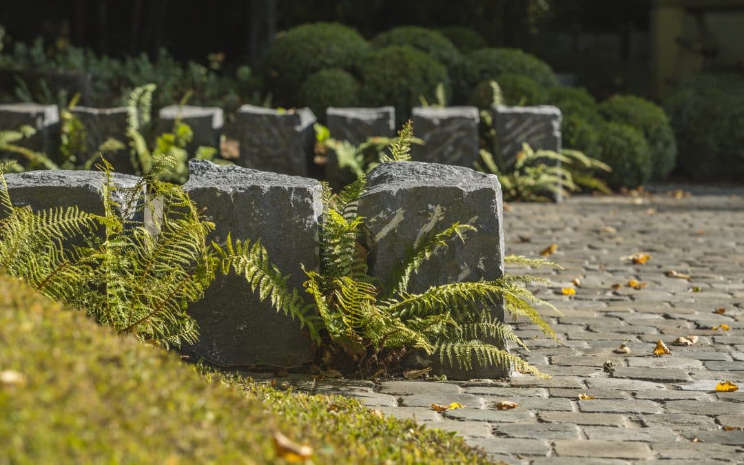De tuin betekent wat voor je